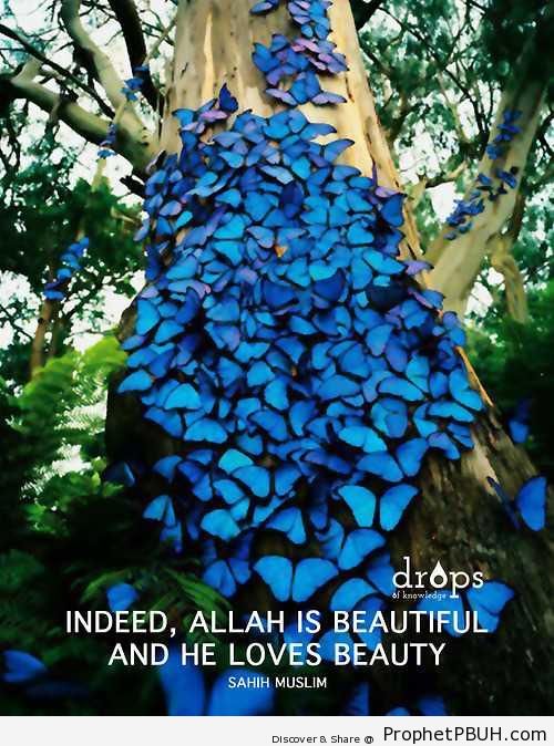 Allah is Beautiful (Prophet Muhammad ï·º Quote) - Hadith