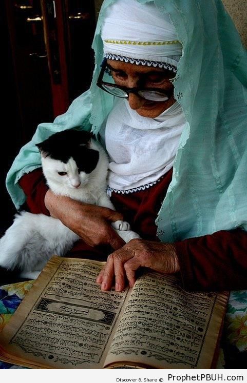 Elderly Muslim Lady Reading Quran - Mushaf Photos (Books of Quran)