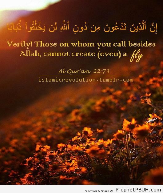 Even a Fly (Quran 22-73) - Photos
