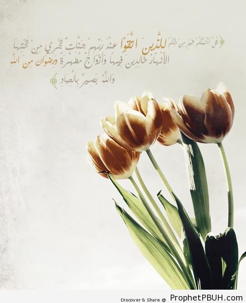 Something Better (Quran 3-15; Surat Al `Imran) - Photos of Flowers