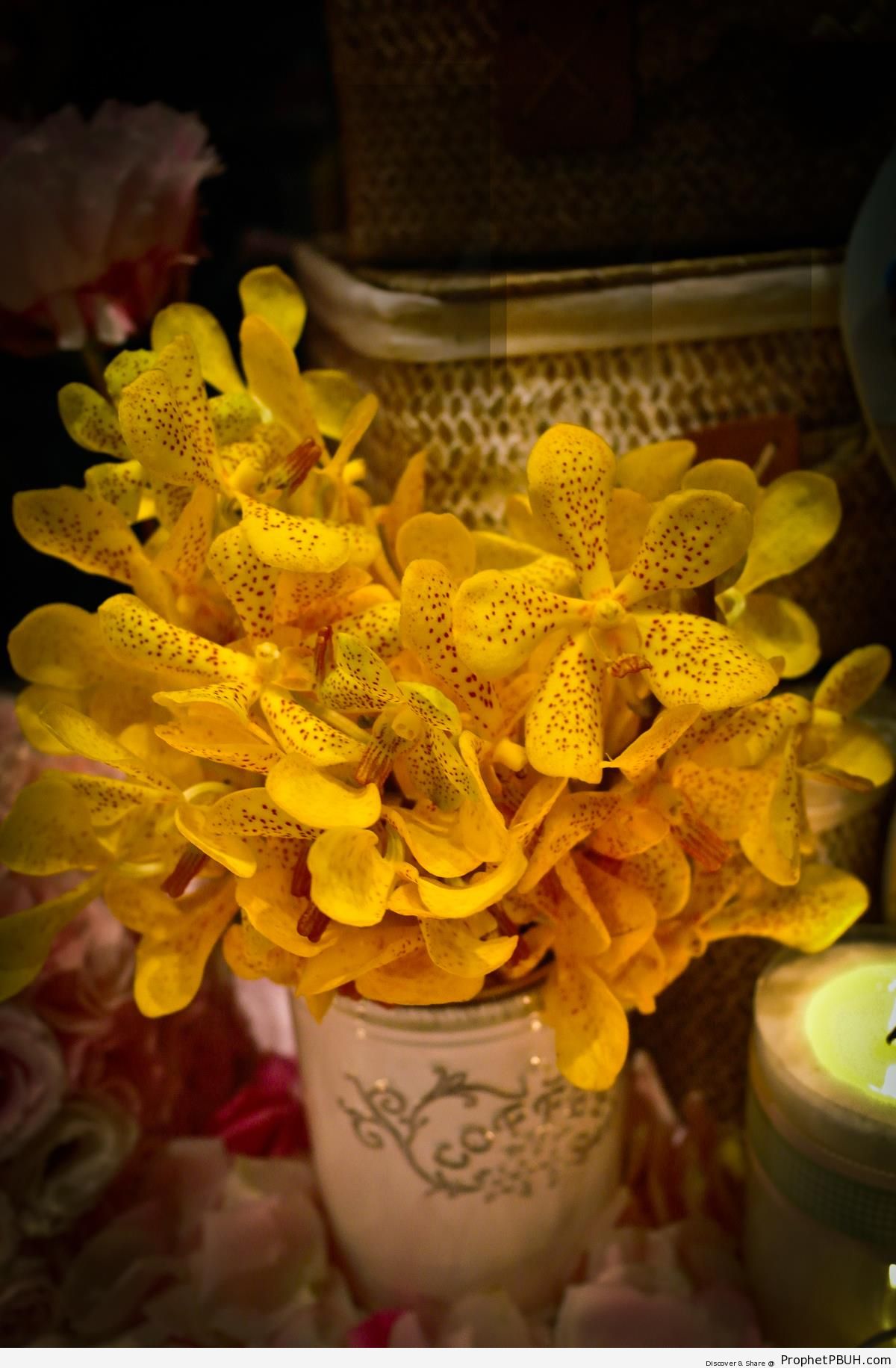 Yellow Flowers in Vase (Royalty Free) - Artist- Cloud -