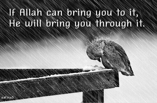 islamic quote, allah, life, text, faith, quotes, safina5, quote, islam, الله, rain