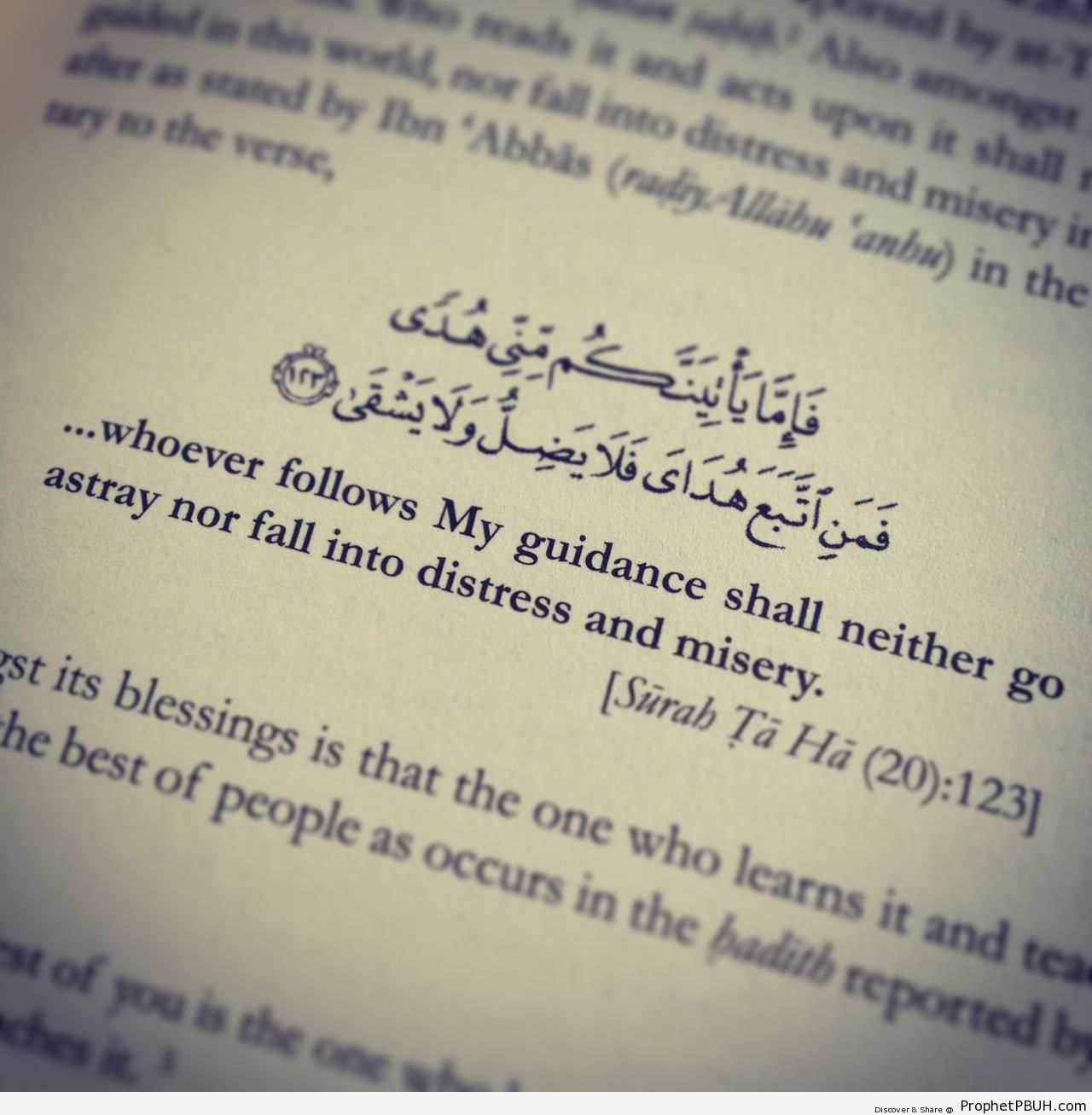 whoever follows My guidance - Quranic Verses 