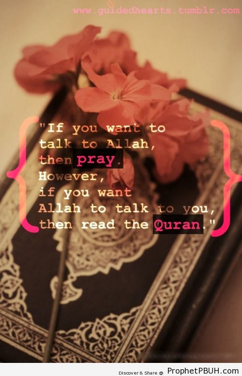Pray & read Quran - Islamic Quotes, Hadiths, Duas