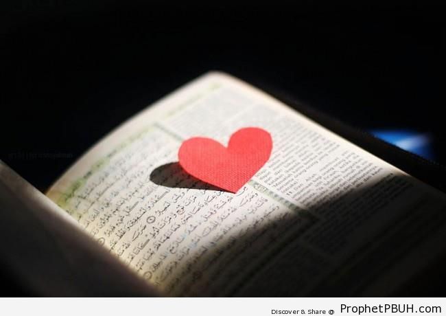 Heart on Quran - Mushaf Photos (Books of Quran)