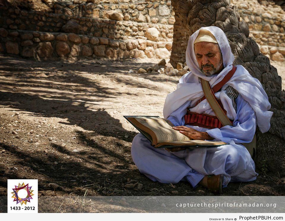 Man Reading Quran Under Tree - Photos 