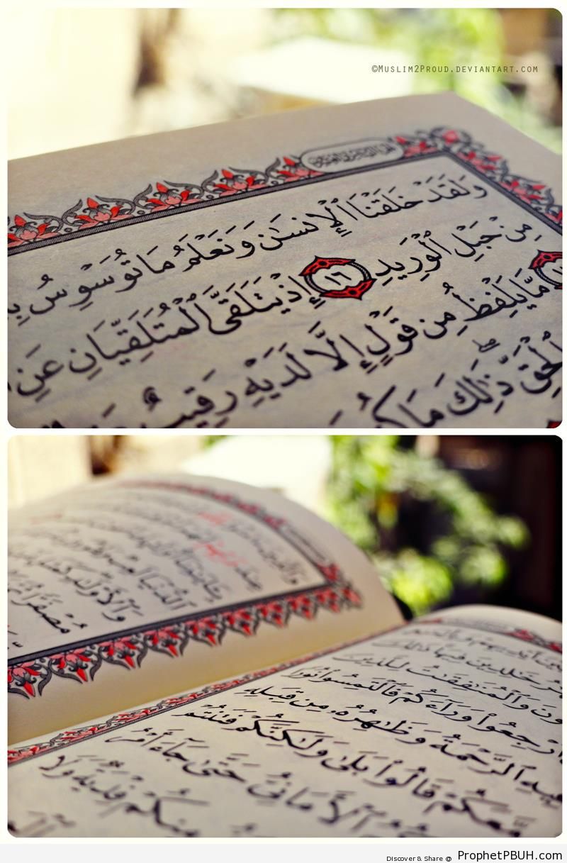Open Mushaf Showing Surat Qaf (Top) and Surat al-Hadid (Bottom) - Mushaf Photos (Books of Quran) 