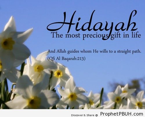 Islamic Quotes, Hadiths, Duas-042