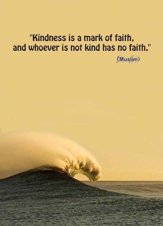 Kindness is a mark of faith. Prophet PBUH