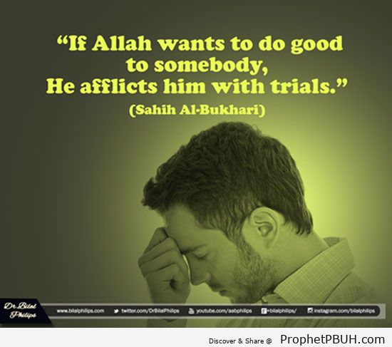 Islamic Quotes 8.