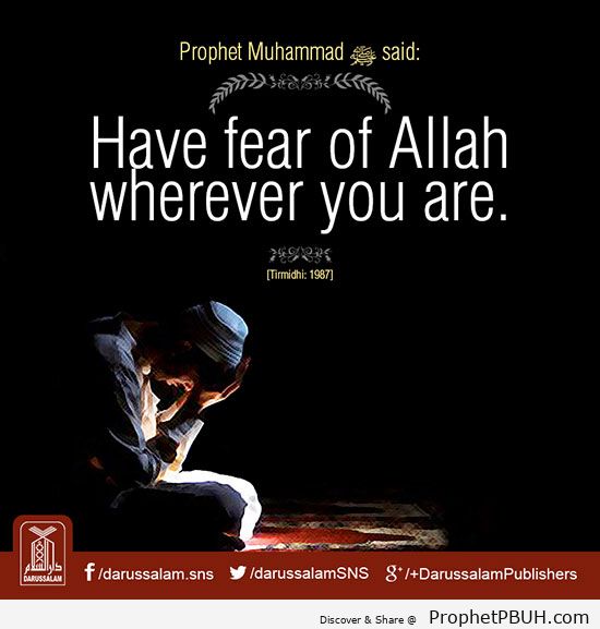 amazing islamic quotes
